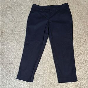 Ann Taylor Factory Women's Navy Blue Pants